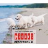 1.PICART PROFESSIONAL 