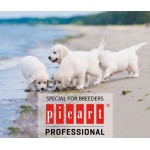 1.PICART PROFESSIONAL 