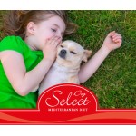 3.PICART SELECT
